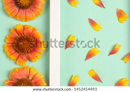 Composition of orange flowers and petals on a mint background. Top view, copy space. Flat lay