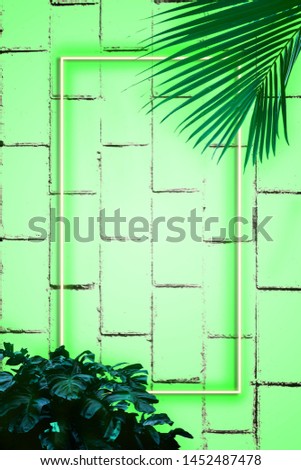 Background of brick walls and colorful neon lights. Silhouettes of tropical leaves, summer concept, free space for text