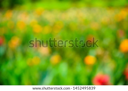  green background nature texture wallpaper colorful bubble