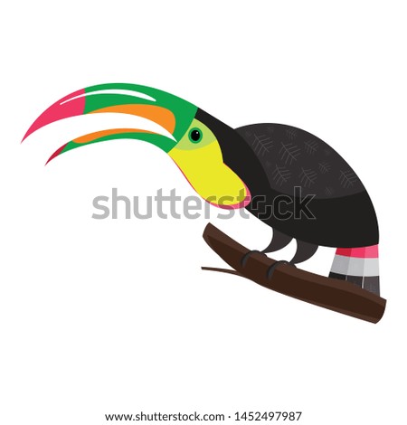 Funny toucan icon. Cartoon of funny toucan vector icon for web design isolated on white background