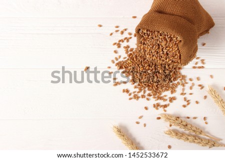 wheat grains on a light background
