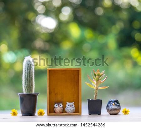 Beautiful  cactus,wooden  shelf  and  simulated  owl  on  wood  table  with  nature  blurry  background