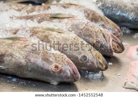 raw goliath grouper fish on ice in Thailand market ,seafood background ,seafood market.