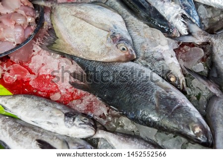 raw fish on ice in Thailand market ,seafood background ,seafood market.