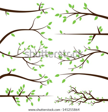 Vector Collection of Stylized Branch Silhouettes Royalty-Free Stock Photo #145255864