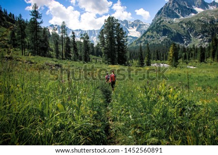 Hikers wading through thick grass in the Altai Mountains