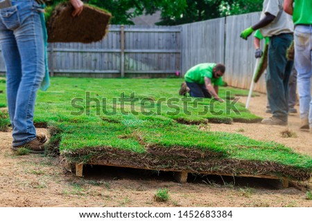 Landscaping crew laying new sod in a backyard Royalty-Free Stock Photo #1452683384