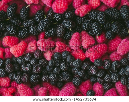 Closeup of different berries fruits mixed in pile. Tasty various assorted mulberries, red raspberries and blackberries. Background from mix of different organic summer healthy food antioxidants