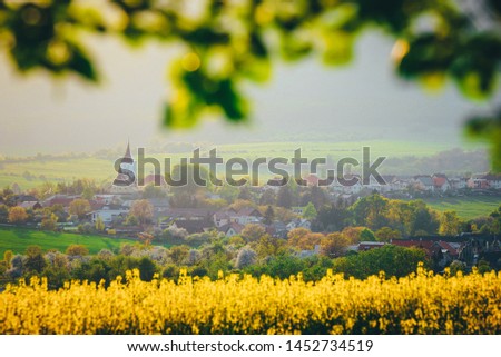 Beautiful spring rural landscape, yellow agricultural field, church and village
