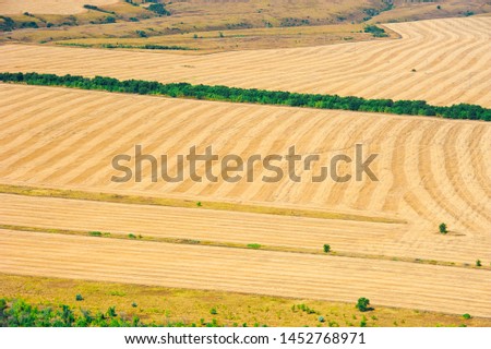 Aerial view of fields and meadows during a summer day