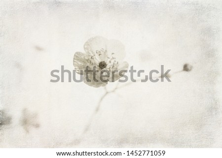 beautiful small original delicate free field flowers on a light background