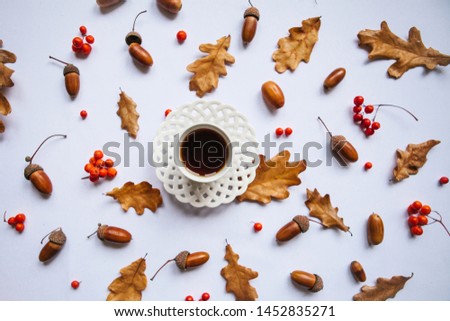 A cup of black tea, acorns and autumn leaves. Time for tea. Autumn design or background.