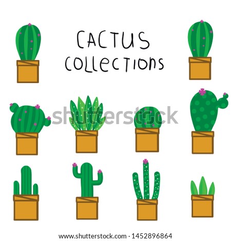 Vector set of bright cacti, aloe and leaves. Collection of exotic plants.