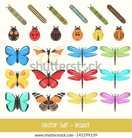 Insect Vector Set