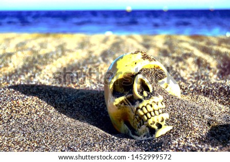 Human Skull on the Sand Beach near Ocean