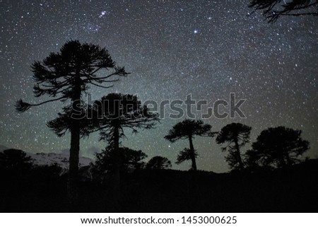 Various natural landscapes at night and day in Conguillio National Park, Chile Royalty-Free Stock Photo #1453000625