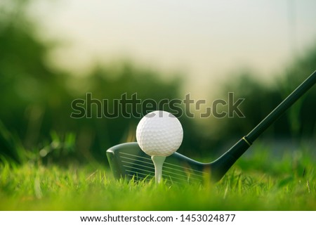 Golf clubs and golf balls on a green lawn in a beautiful golf course with morning sunshine.Ready for golf in the first short.Sports that people around the world play during the holidays for health.