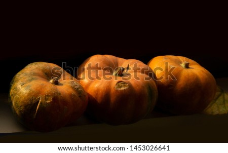 Three orange pumpkin on a dark background