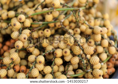 Rattan palm seed, Rattan fruit is a palm from thailand tropical areas. Soft focus.