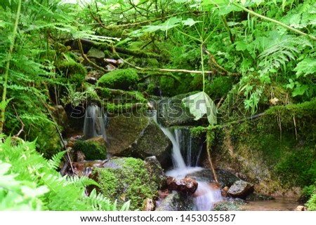 Open Shutter Slow Speed Waterfall In Woods Photo