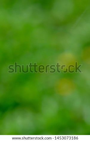 Abstract green texture blur background for spring concept