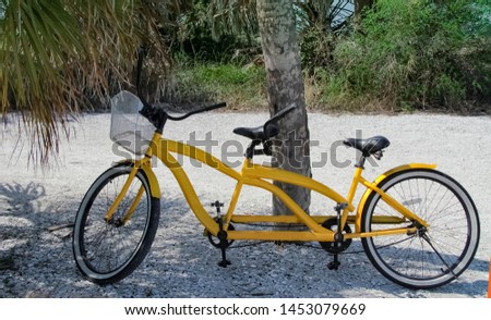 Yellow bicycle built for two, beach ride, foliage, sand Royalty-Free Stock Photo #1453079669
