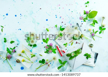 Envelopes and notes with clower and dandelions. Summer romance letters concept. Botany flat lay with copy space