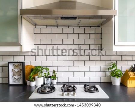 Black and white subway tiled kitchen with numerous plants and framed taxidermy insect art Royalty-Free Stock Photo #1453099340