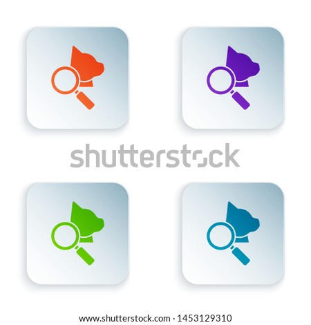 Color Veterinary clinic symbol icon isolated on white background. Magnifying glass with cat veterinary care. Pet First Aid sign. Set icons in colorful square buttons. Vector Illustration