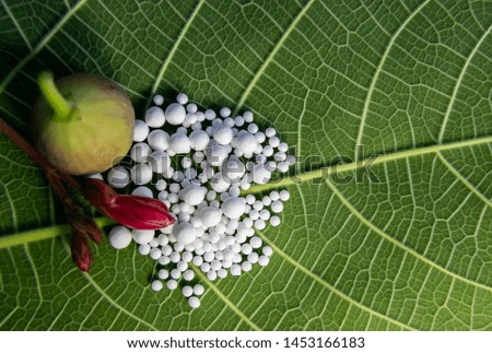 Homeopathic pills with pink flower and wild fruit on green leaf. Alternate medicine and drug concept