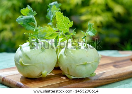 Heads of fresh ripe bio white cabbage kohlrabi from organic farm, close up Royalty-Free Stock Photo #1453290614