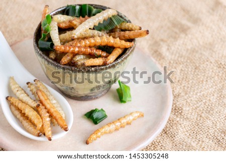 Food Insects: Bamboo worm (Bamboo Caterpillar) insect fried crispy for eating as food items on dish and spoon on sackcloth, it is good source of protein edible for future food. Entomophagy concept. Royalty-Free Stock Photo #1453305248