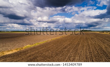 aerial view wild seagull birds on agriculture field 
