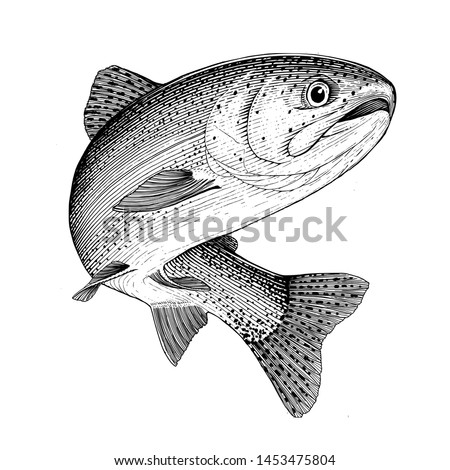 Illustration of a leaping Rainbow Trout