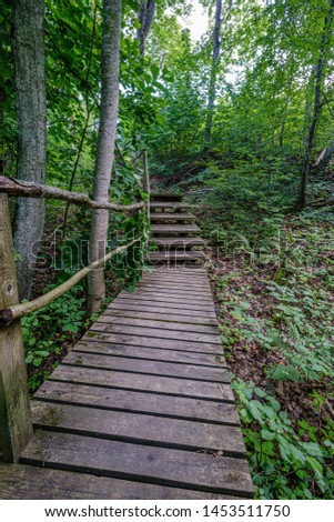old wooden plank footbridge with stairs in forest green summer time for recreation in nature