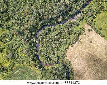 aerial drone view of small snake river serpentine in forest. green summer landscape texture