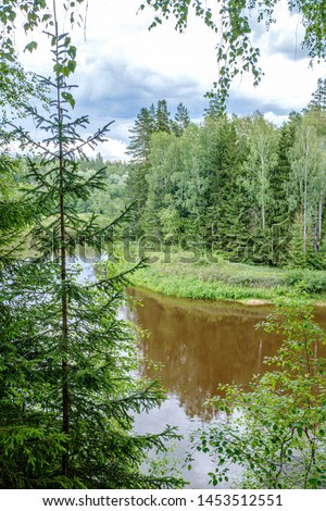 river Gauja in Latvia, view through the trees in summer day