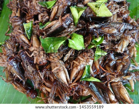 Fried insects on the streets market.