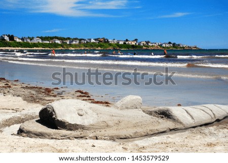 A sand sculpture shark on the beach
