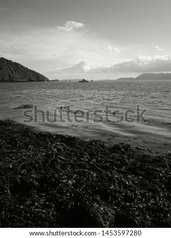 Black and white landscape along Menai Straight, with hills of Snowdonia and Anglesey on either side and yachts and boats on the sea. Bladderwrack in foreground and dramatic clouds 