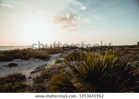 A stunning golden sunset on a florida beach