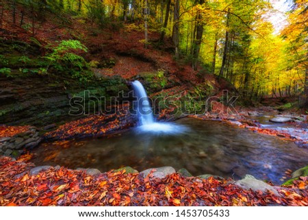 Amazing nature landscape, mountain waterfall in the dark colorful autumn forest, natural outdoor travel background suitable for wallpaper, Carpathian mountains