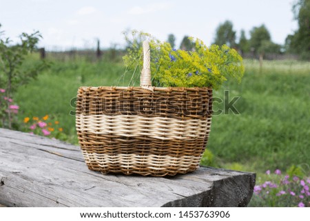 basket with dill in rustic style