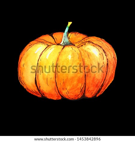 Pumpkin watercolor illustration isolated on black background. Sketch style.
See full pumpkin collection in profile