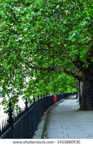 View of green leafy trees lining path on sidewalk next to the river Thames. Red life buoy visible in the background. London, UK -Image