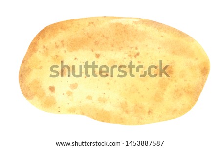 Vegetable, potato, hand drawn watercolor illustration isolated on white with clipping path