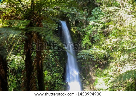 McLaren Falls Park in Tauranga in New Zealand. Beautiful waterfall among bright green vegetation with blurred vegetation foreground; a tourist attraction. Long exposure.