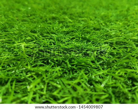 Green grass texture background, Green lawn, Backyard for background, Grass texture, Green lawn desktop picture, Park lawn texture