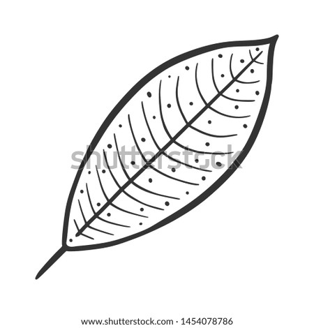 Leaf. Vector concept in doodle and sketch style. Hand drawn illustration for printing on T-shirts, postcards.