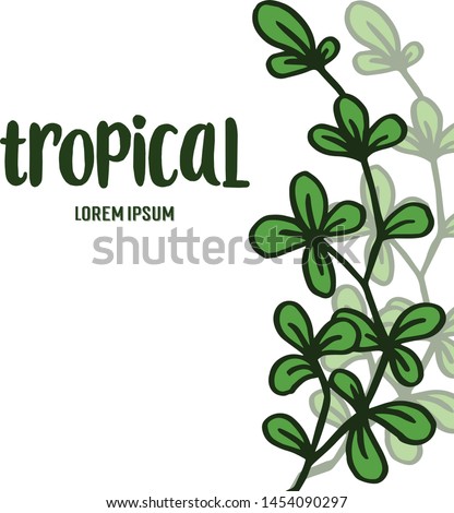 Decorative of card summer tropical for beauty green leaves and floral frame. Vector